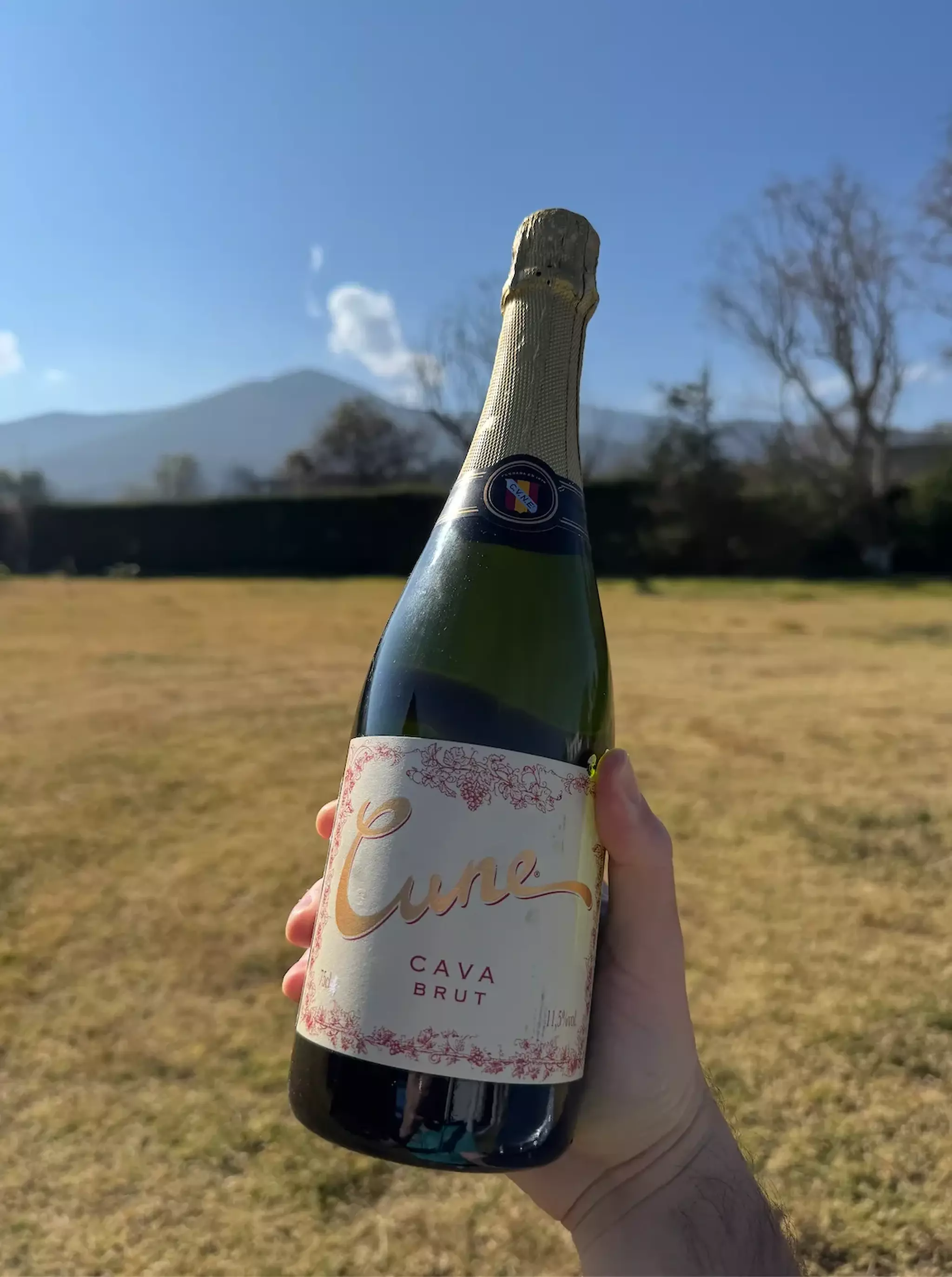 Cune – Cava Brut (España)